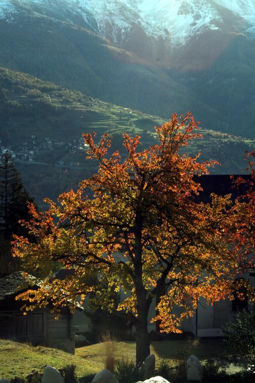 Hotel Alpenblick Zeneggen Kültér fotó