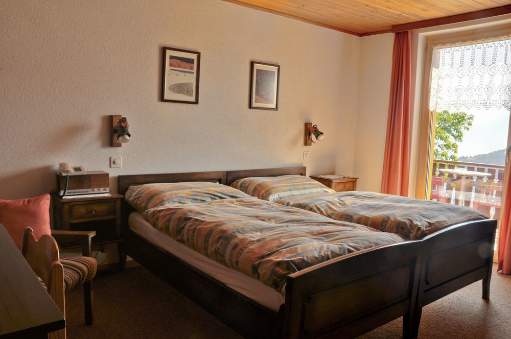 Hotel Alpenblick Zeneggen Kültér fotó