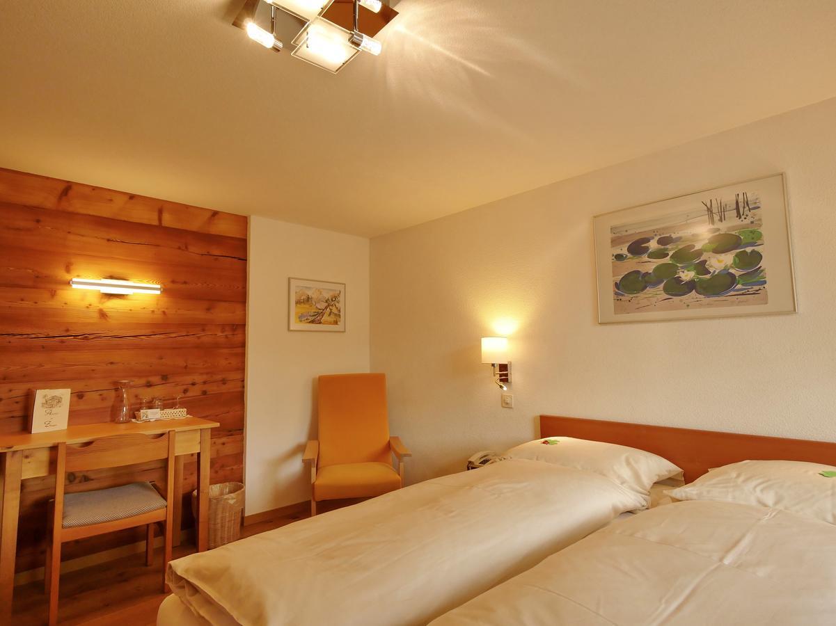 Hotel Alpenblick Zeneggen Kültér fotó