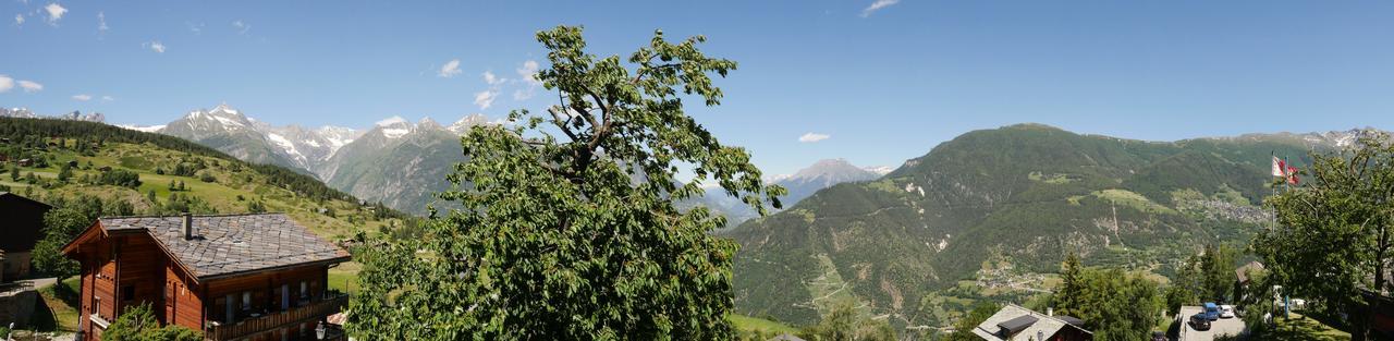 Hotel Alpenblick Zeneggen Kültér fotó
